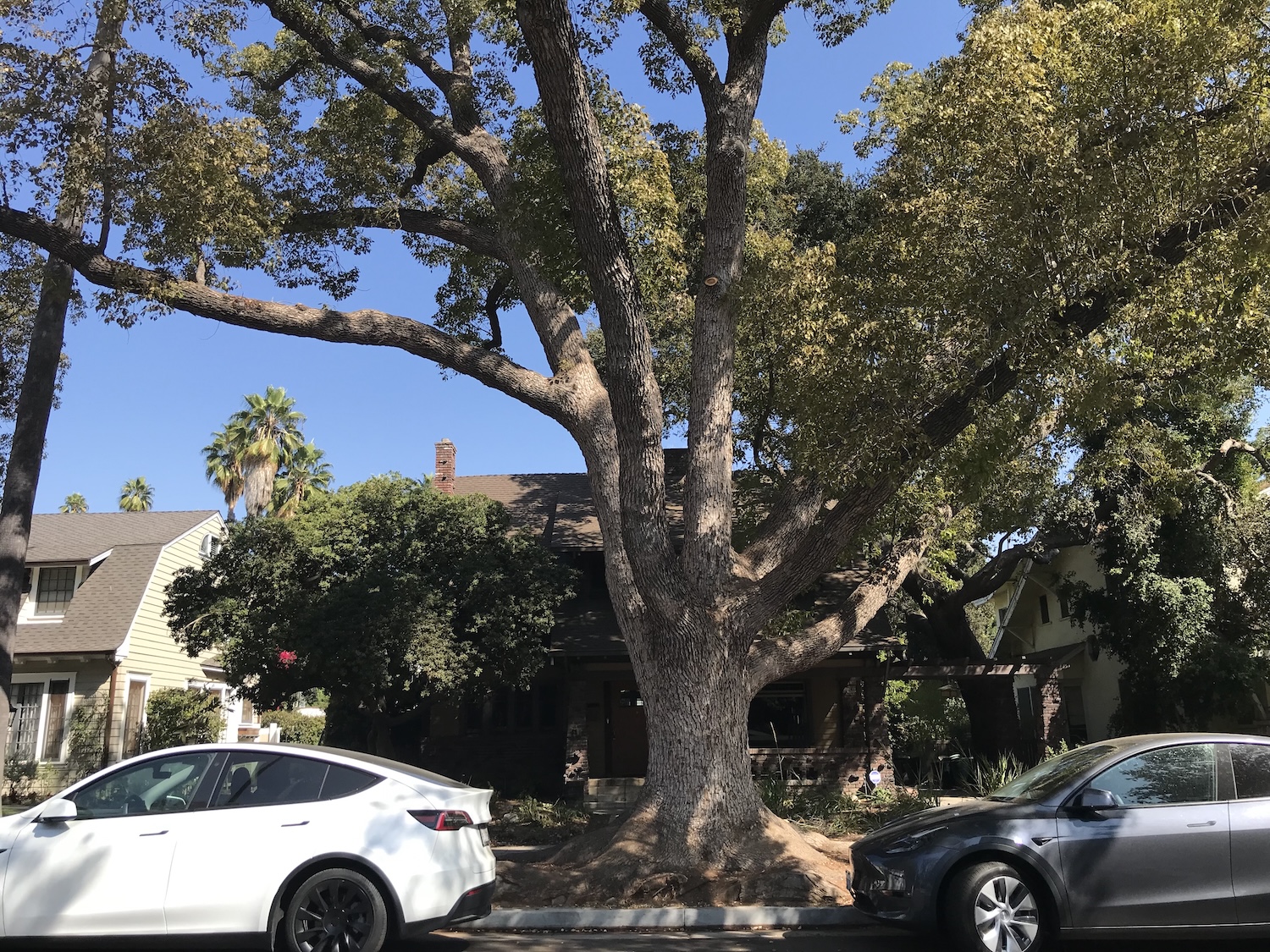 ロサンゼルスバックトゥザフューチャーロケ地ツアー08