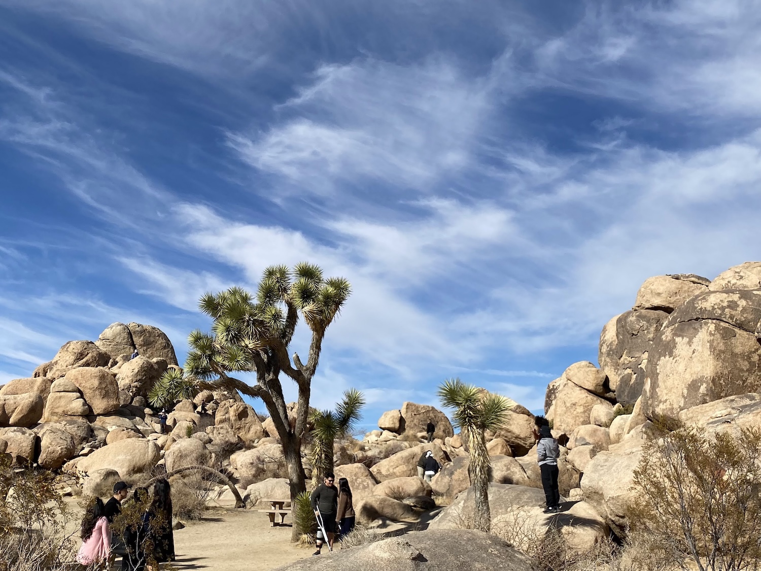 アナハイム発市内観光08