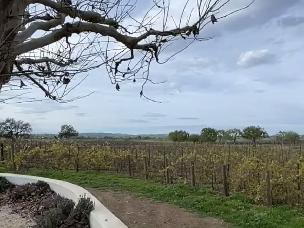 サンタバーバラのワイナリー現地格安ツアー02