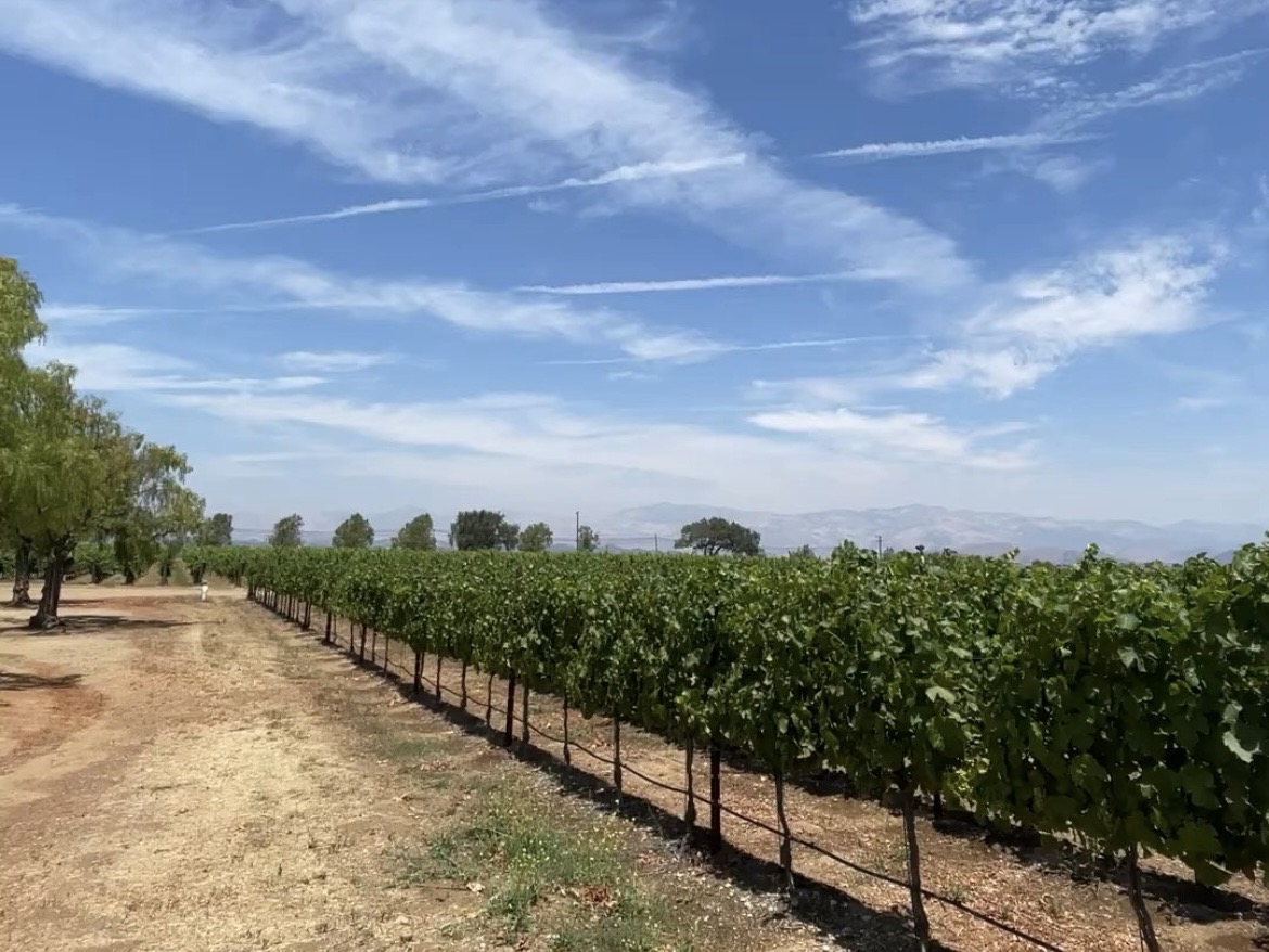サンタバーバラのワイナリー現地格安ツアー07