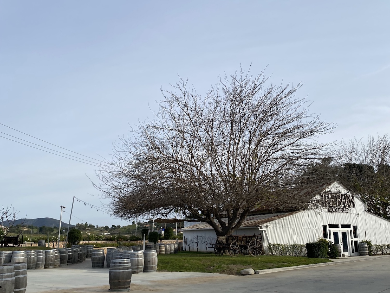 ロサンゼルス発テメキュラワイナリー現地格安ツアー10