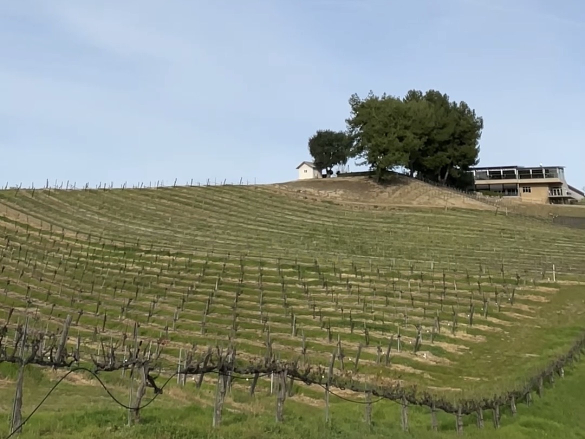 ロサンゼルス発テメキュラワイナリーツアー格安07