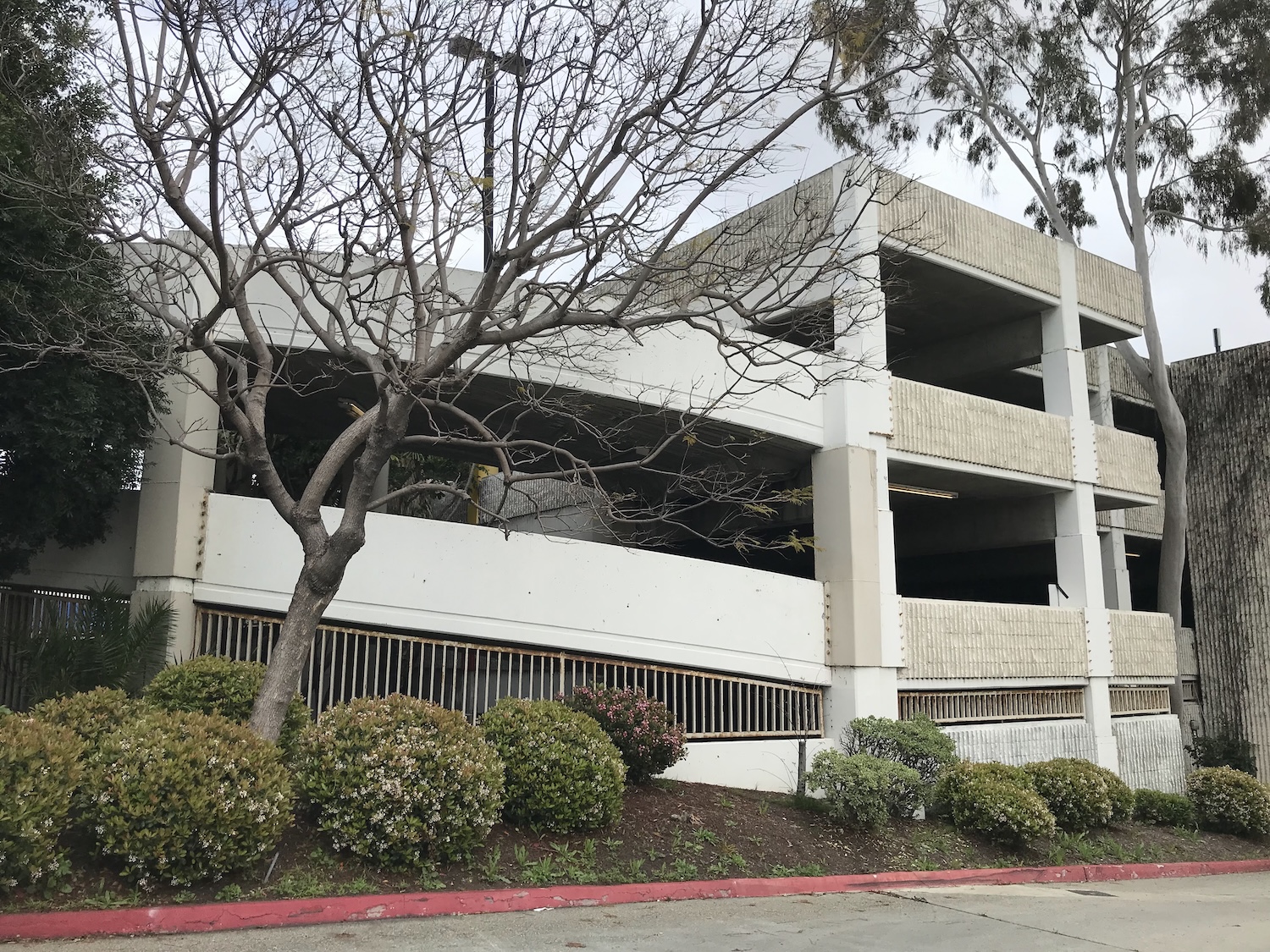 ロサンゼルスワイスピロケ地ツアー07